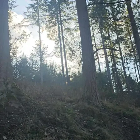 Malepartus Am Kurpark Отель Бад-Швальбах