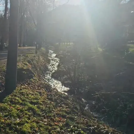 Malepartus Am Kurpark Отель Бад-Швальбах