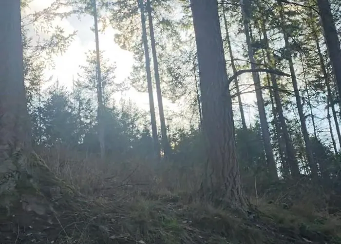 Malepartus Am Kurpark Отель Бад-Швальбах