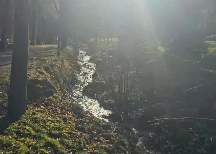 Malepartus Am Kurpark Отель Бад-Швальбах