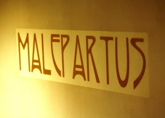 Отель Malepartus Am Kurpark Бад-Швальбах